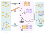 Predicting metawebs: Transfer of graph embeddings can help alleviate spatial data deficiencies